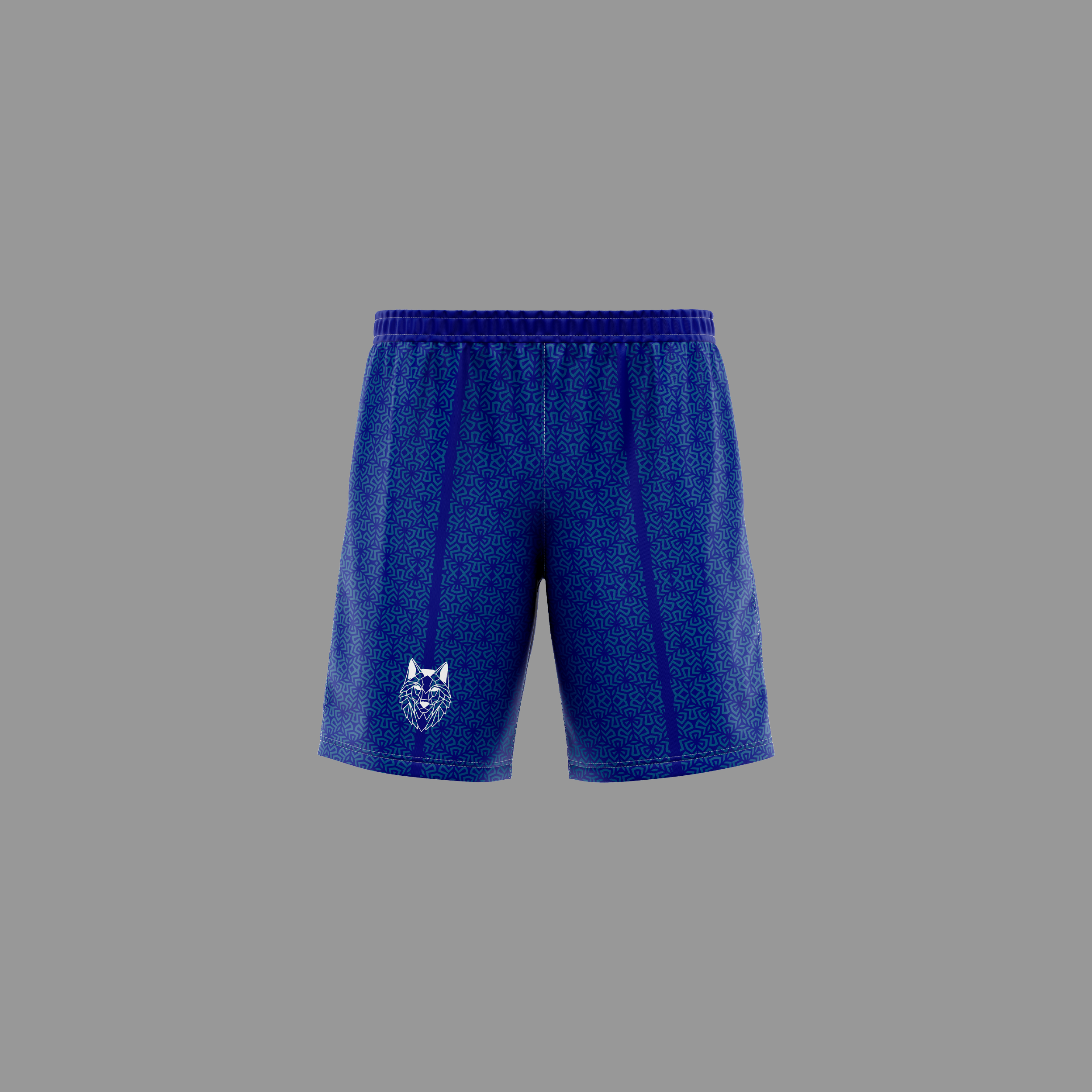 BLACKBORZ - SHORTS BLUE 91